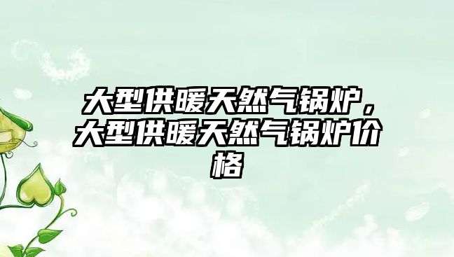 大型供暖天然氣鍋爐，大型供暖天然氣鍋爐價(jià)格
