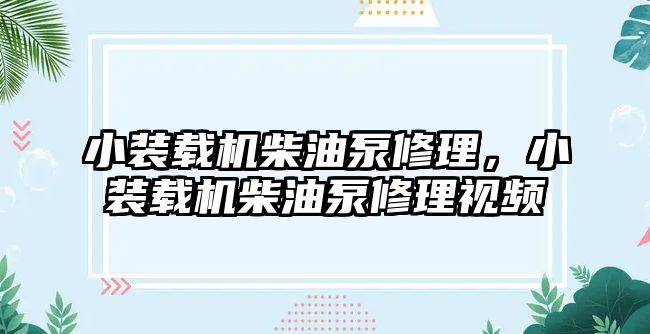 小裝載機(jī)柴油泵修理，小裝載機(jī)柴油泵修理視頻
