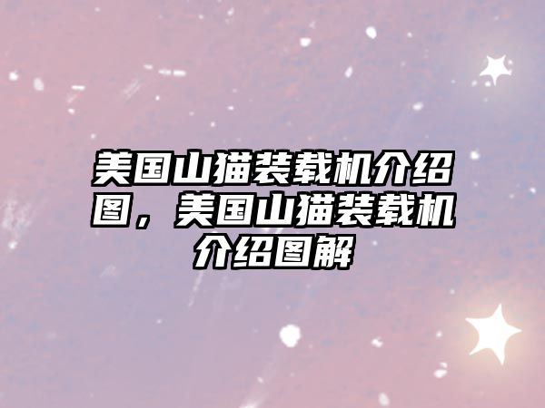 美國山貓裝載機介紹圖，美國山貓裝載機介紹圖解