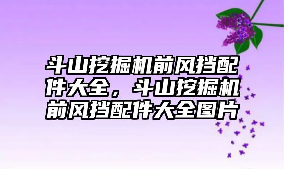 斗山挖掘機前風(fēng)擋配件大全，斗山挖掘機前風(fēng)擋配件大全圖片