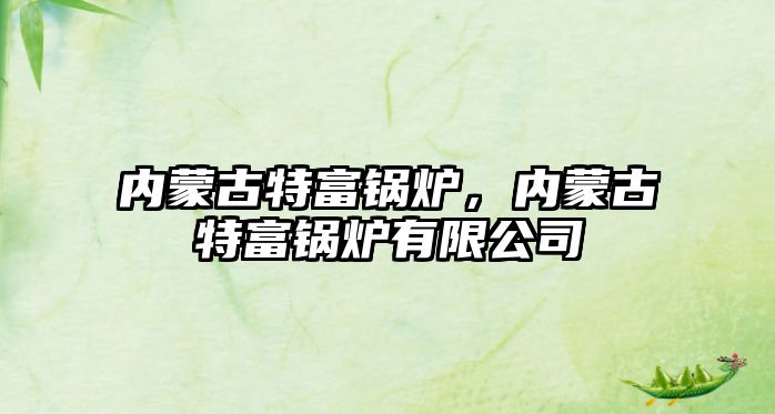 內(nèi)蒙古特富鍋爐，內(nèi)蒙古特富鍋爐有限公司