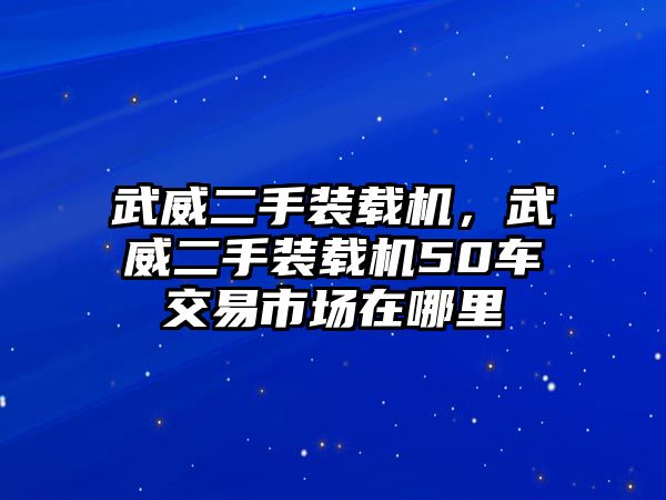 武威二手裝載機(jī)，武威二手裝載機(jī)50車交易市場(chǎng)在哪里