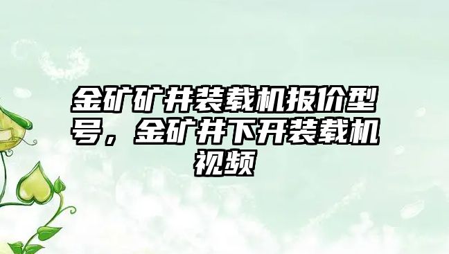 金礦礦井裝載機(jī)報(bào)價(jià)型號(hào)，金礦井下開裝載機(jī)視頻