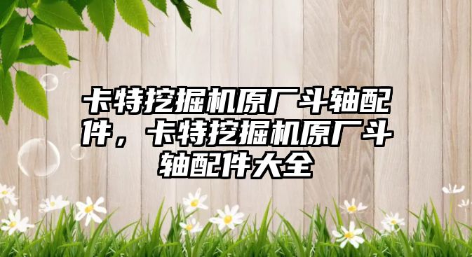 卡特挖掘機(jī)原廠斗軸配件，卡特挖掘機(jī)原廠斗軸配件大全