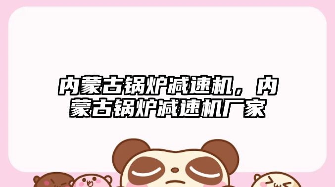 內(nèi)蒙古鍋爐減速機(jī)，內(nèi)蒙古鍋爐減速機(jī)廠家