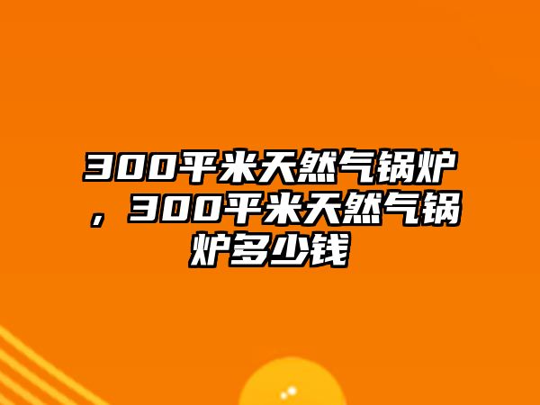 300平米天然氣鍋爐，300平米天然氣鍋爐多少錢