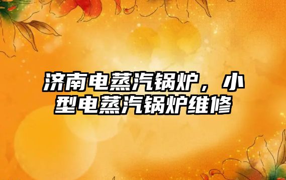 濟(jì)南電蒸汽鍋爐，小型電蒸汽鍋爐維修