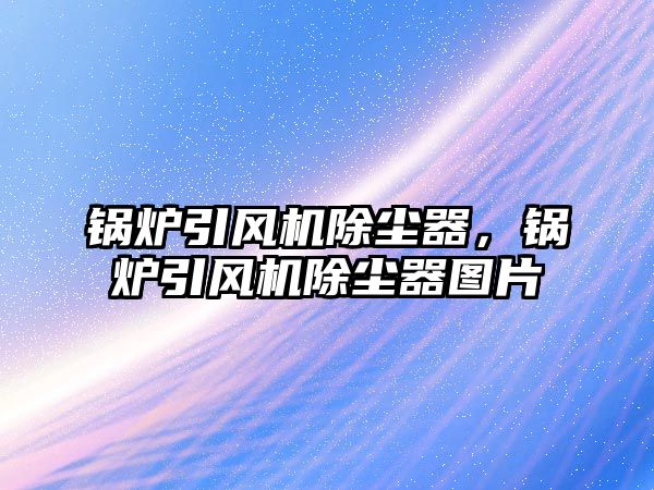 鍋爐引風(fēng)機(jī)除塵器，鍋爐引風(fēng)機(jī)除塵器圖片