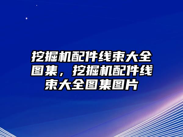 挖掘機配件線束大全圖集，挖掘機配件線束大全圖集圖片