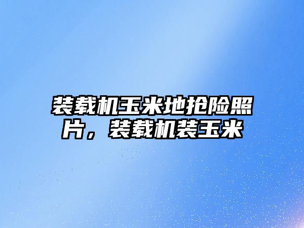 裝載機(jī)玉米地?fù)岆U(xiǎn)照片，裝載機(jī)裝玉米