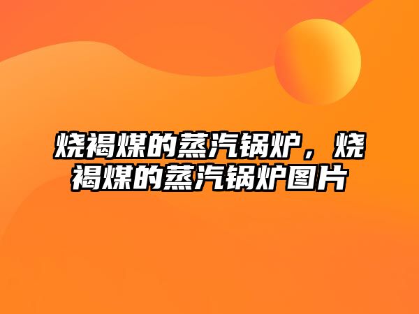 燒褐煤的蒸汽鍋爐，燒褐煤的蒸汽鍋爐圖片