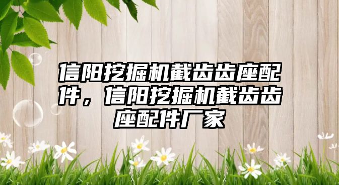 信陽挖掘機截齒齒座配件，信陽挖掘機截齒齒座配件廠家