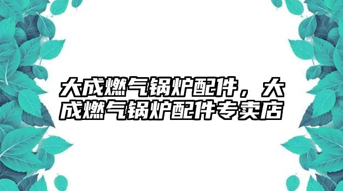 大成燃?xì)忮仩t配件，大成燃?xì)忮仩t配件專賣店