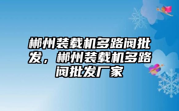 郴州裝載機多路閥批發(fā)，郴州裝載機多路閥批發(fā)廠家
