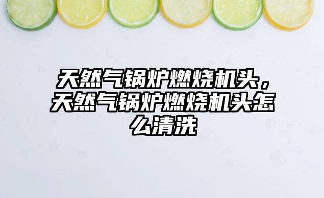 天然氣鍋爐燃燒機(jī)頭，天然氣鍋爐燃燒機(jī)頭怎么清洗
