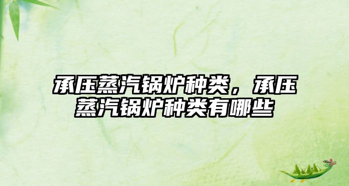 承壓蒸汽鍋爐種類，承壓蒸汽鍋爐種類有哪些