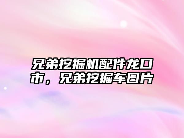 兄弟挖掘機(jī)配件龍口市，兄弟挖掘車圖片