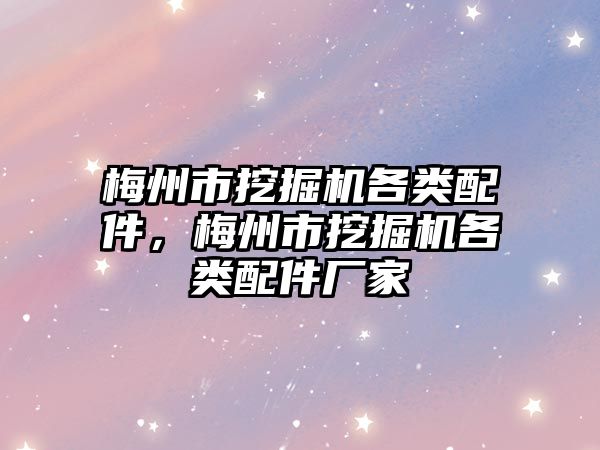 梅州市挖掘機各類配件，梅州市挖掘機各類配件廠家