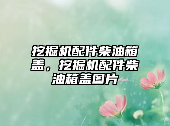 挖掘機配件柴油箱蓋，挖掘機配件柴油箱蓋圖片