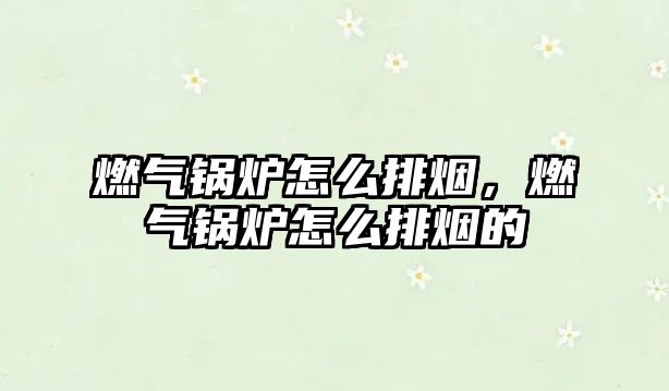 燃?xì)忮仩t怎么排煙，燃?xì)忮仩t怎么排煙的