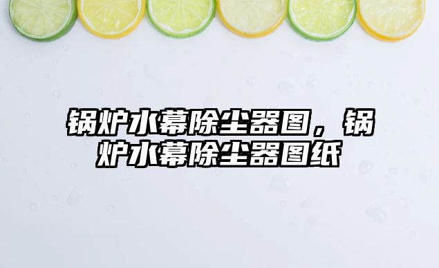 鍋爐水幕除塵器圖，鍋爐水幕除塵器圖紙