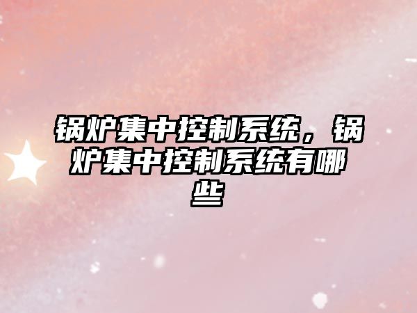 鍋爐集中控制系統(tǒng)，鍋爐集中控制系統(tǒng)有哪些
