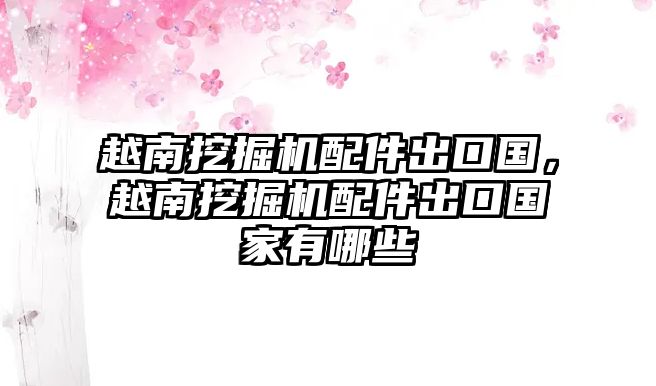 越南挖掘機配件出口國，越南挖掘機配件出口國家有哪些