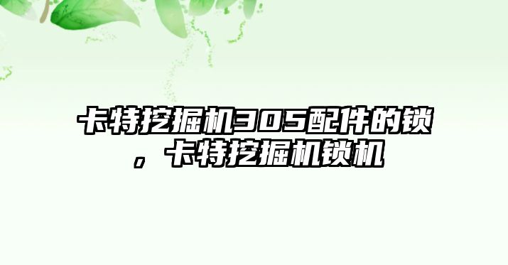 卡特挖掘機(jī)305配件的鎖，卡特挖掘機(jī)鎖機(jī)