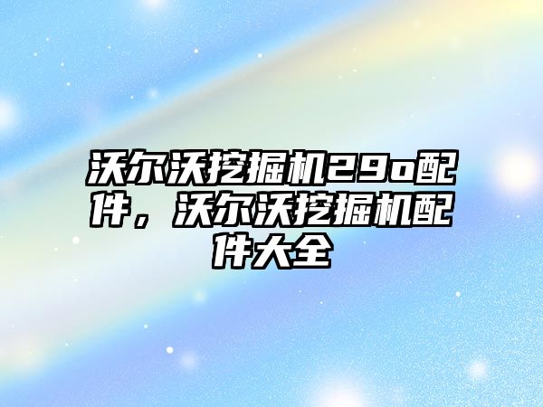 沃爾沃挖掘機29o配件，沃爾沃挖掘機配件大全