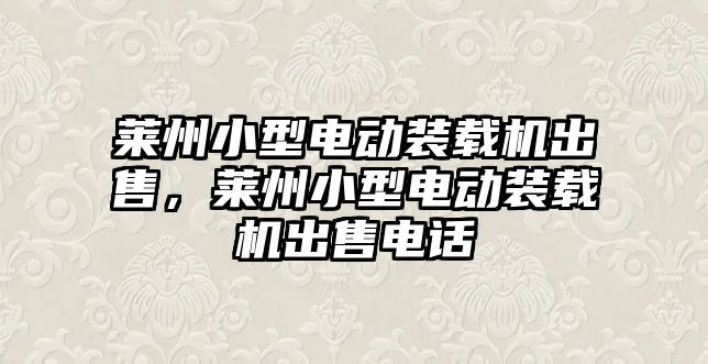 萊州小型電動(dòng)裝載機(jī)出售，萊州小型電動(dòng)裝載機(jī)出售電話