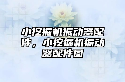 小挖掘機(jī)振動(dòng)器配件，小挖掘機(jī)振動(dòng)器配件圖