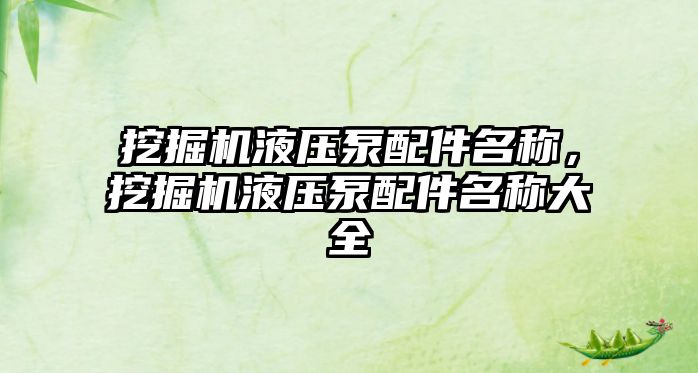 挖掘機液壓泵配件名稱，挖掘機液壓泵配件名稱大全