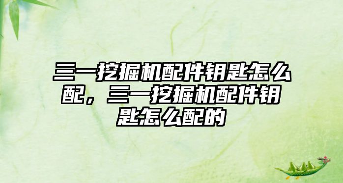 三一挖掘機(jī)配件鑰匙怎么配，三一挖掘機(jī)配件鑰匙怎么配的