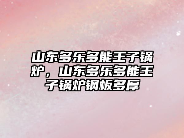 山東多樂多能王子鍋爐，山東多樂多能王子鍋爐鋼板多厚
