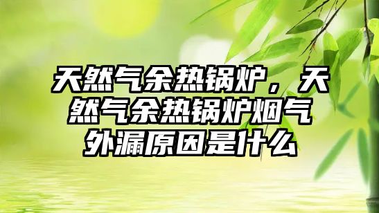 天然氣余熱鍋爐，天然氣余熱鍋爐煙氣外漏原因是什么