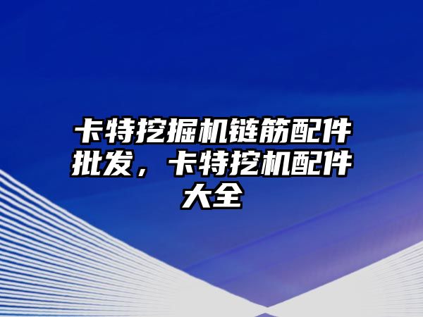 卡特挖掘機鏈筋配件批發(fā)，卡特挖機配件大全