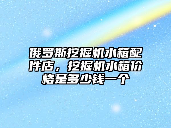 俄羅斯挖掘機水箱配件店，挖掘機水箱價格是多少錢一個