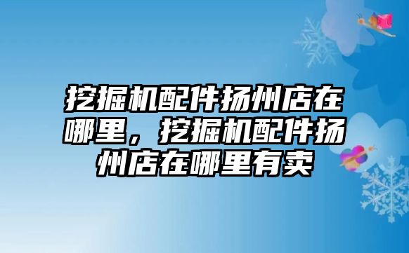 挖掘機(jī)配件揚(yáng)州店在哪里，挖掘機(jī)配件揚(yáng)州店在哪里有賣