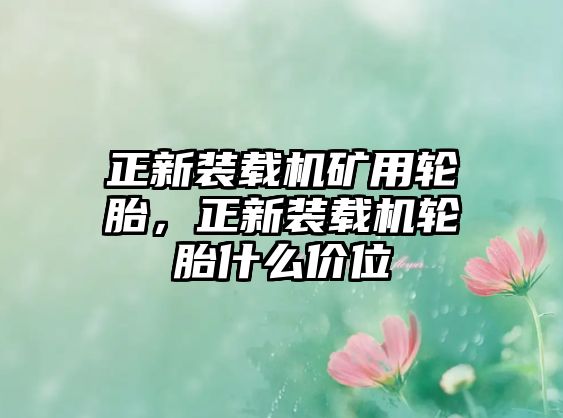 正新裝載機(jī)礦用輪胎，正新裝載機(jī)輪胎什么價(jià)位