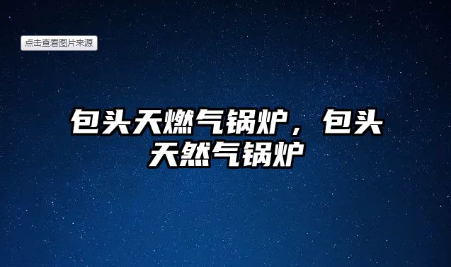 包頭天燃?xì)忮仩t，包頭天然氣鍋爐