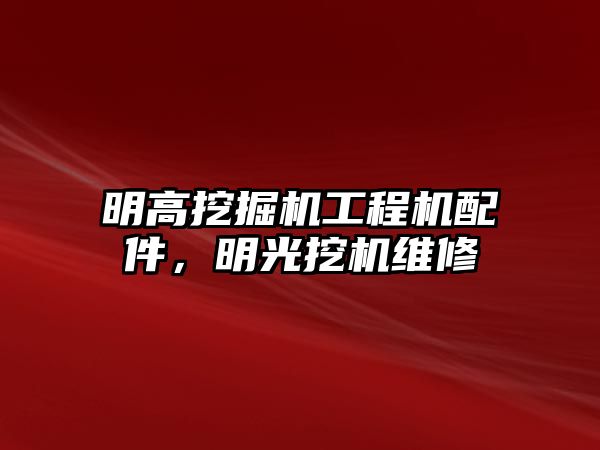 明高挖掘機工程機配件，明光挖機維修