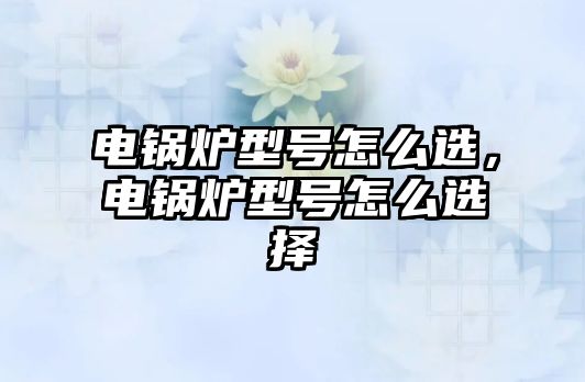 電鍋爐型號怎么選，電鍋爐型號怎么選擇