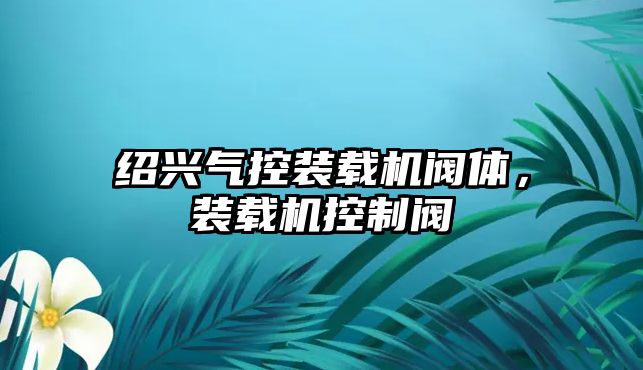 紹興氣控裝載機(jī)閥體，裝載機(jī)控制閥
