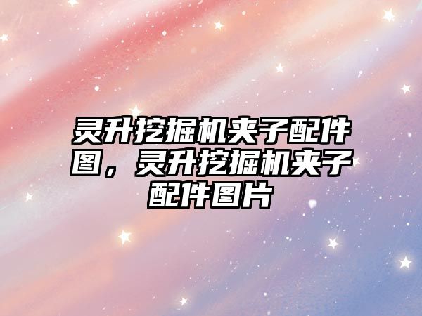 靈升挖掘機(jī)夾子配件圖，靈升挖掘機(jī)夾子配件圖片