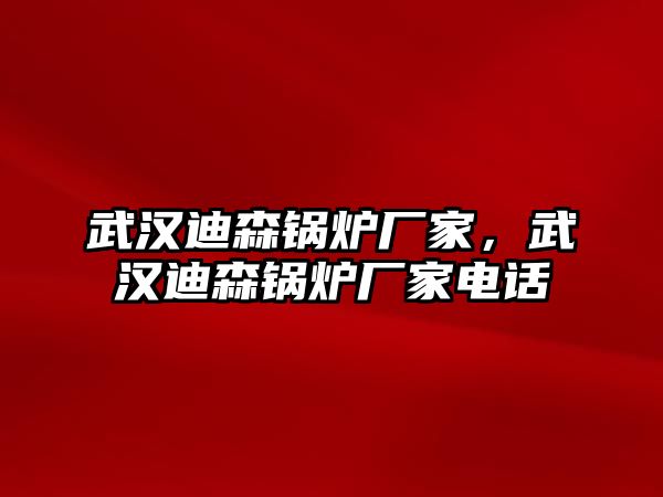 武漢迪森鍋爐廠家，武漢迪森鍋爐廠家電話