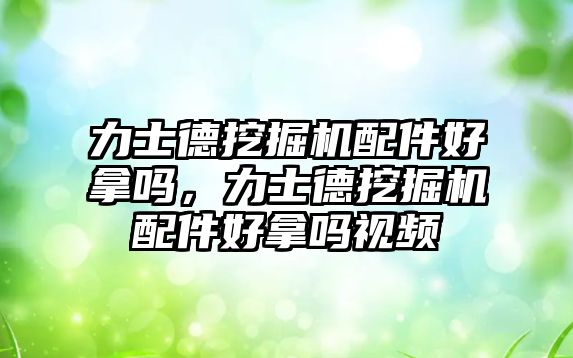 力士德挖掘機(jī)配件好拿嗎，力士德挖掘機(jī)配件好拿嗎視頻