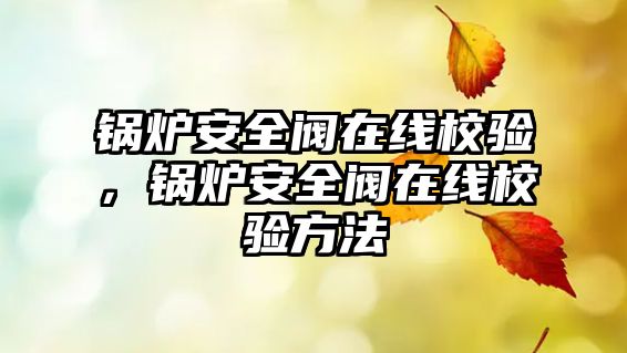 鍋爐安全閥在線校驗(yàn)，鍋爐安全閥在線校驗(yàn)方法