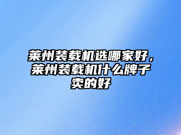 萊州裝載機(jī)選哪家好，萊州裝載機(jī)什么牌子賣的好