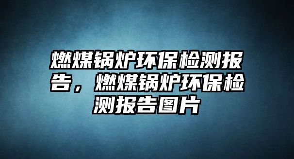 燃煤鍋爐環(huán)保檢測(cè)報(bào)告，燃煤鍋爐環(huán)保檢測(cè)報(bào)告圖片
