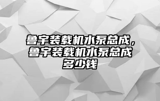 魯宇裝載機水泵總成，魯宇裝載機水泵總成多少錢